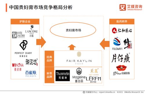 2020-2021年中國(guó)貴婦膏市場(chǎng)品牌分析及用戶調(diào)研報(bào)告